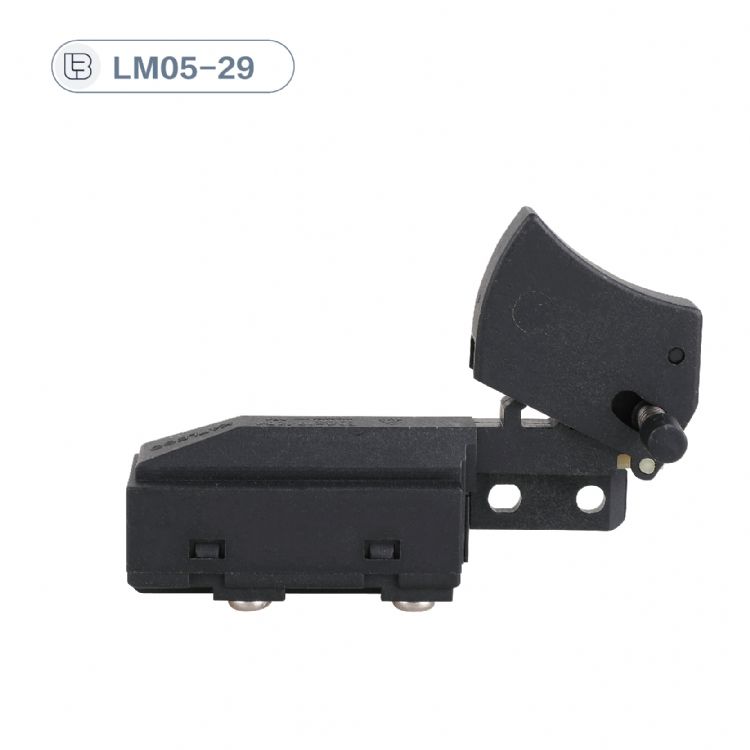 Button switch