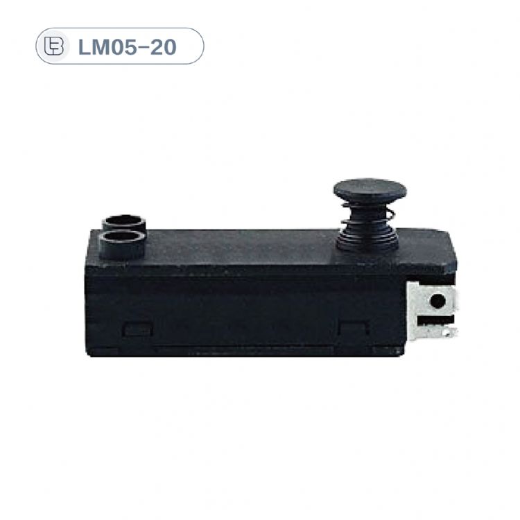 Button switch