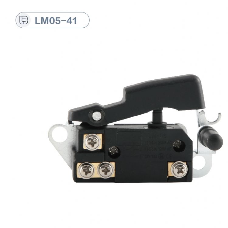 Button switch