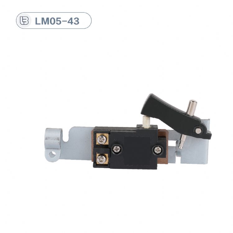 Button switch