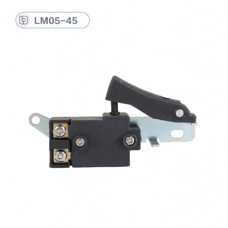 Button switch