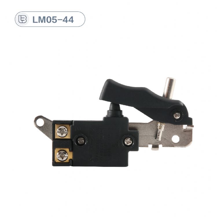 Button switch