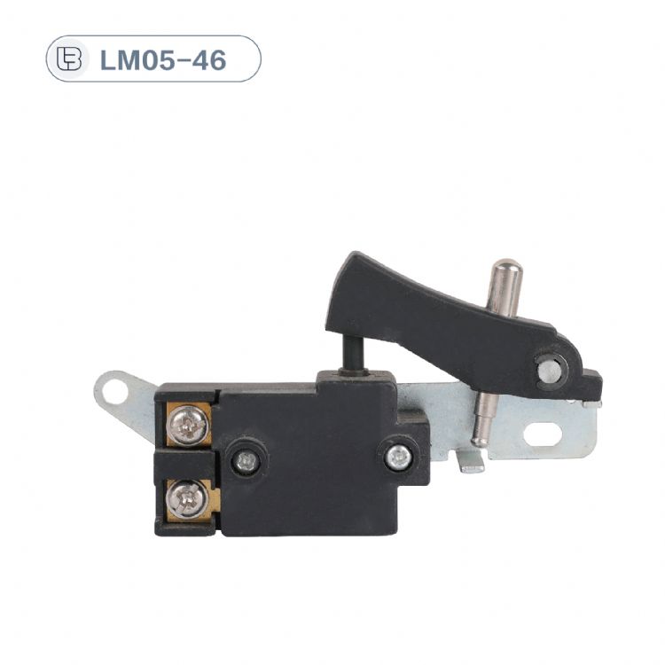 Button switch
