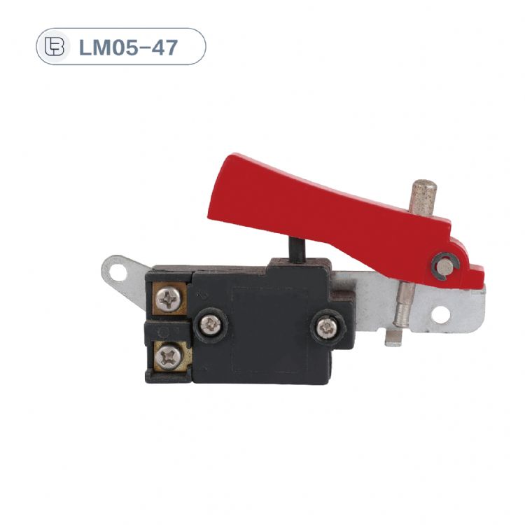 Button switch