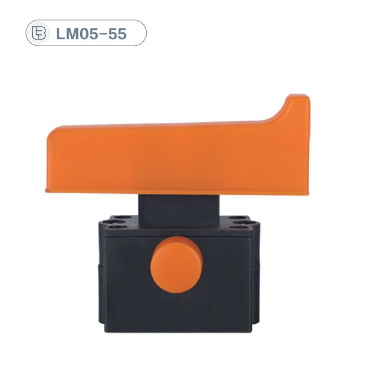 Button switch