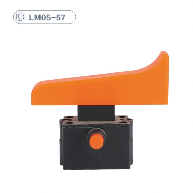 Button switch