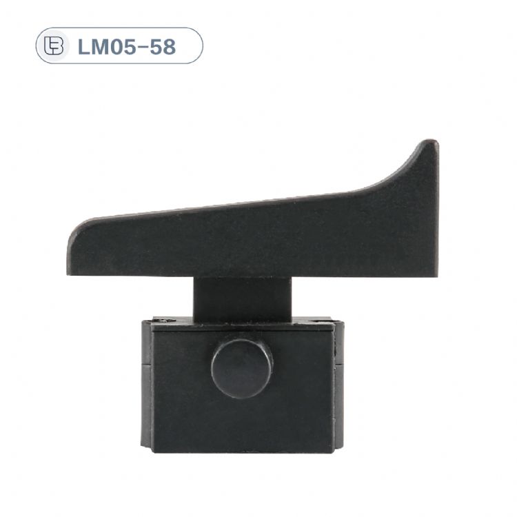 Button switch