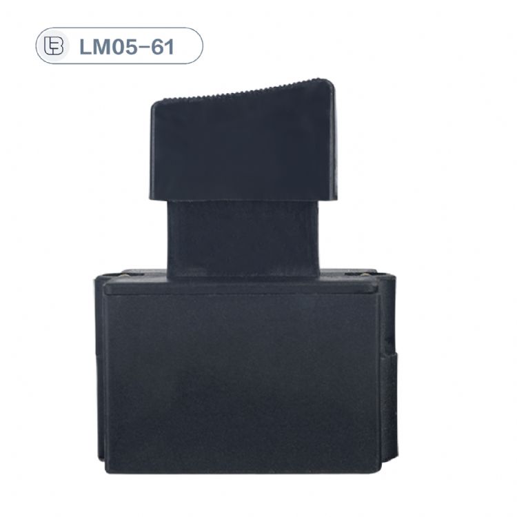 Button switch