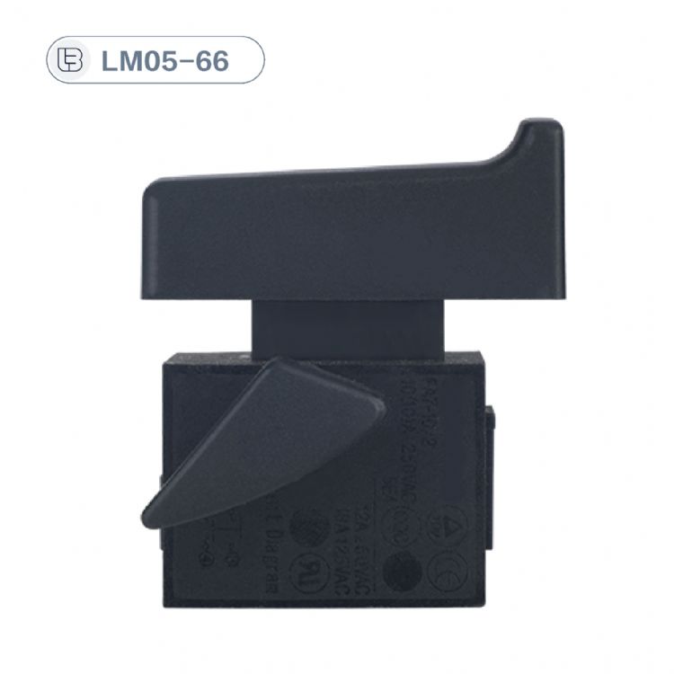 Button switch