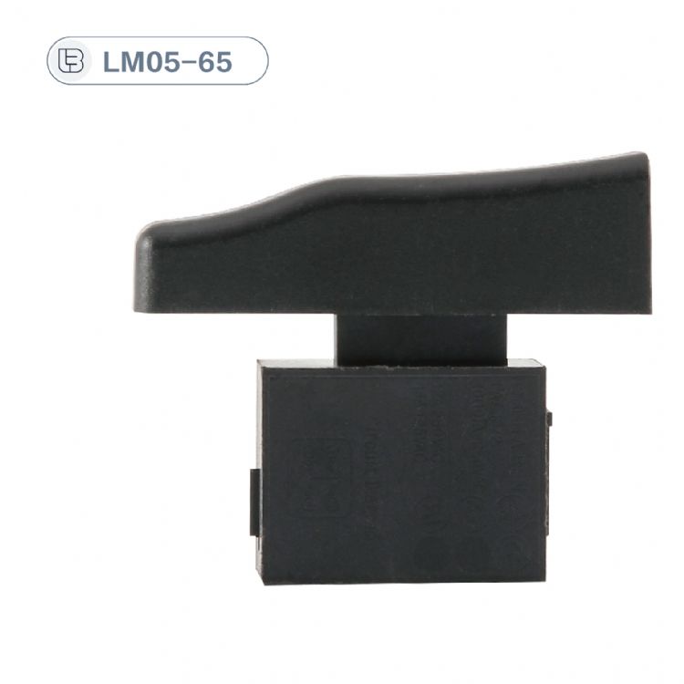 Button switch