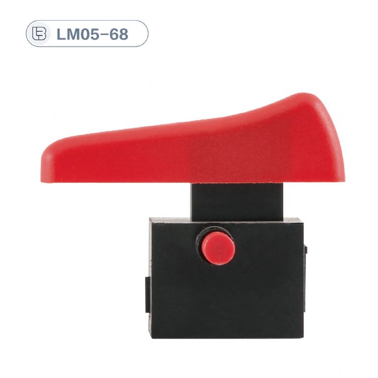 Button switch