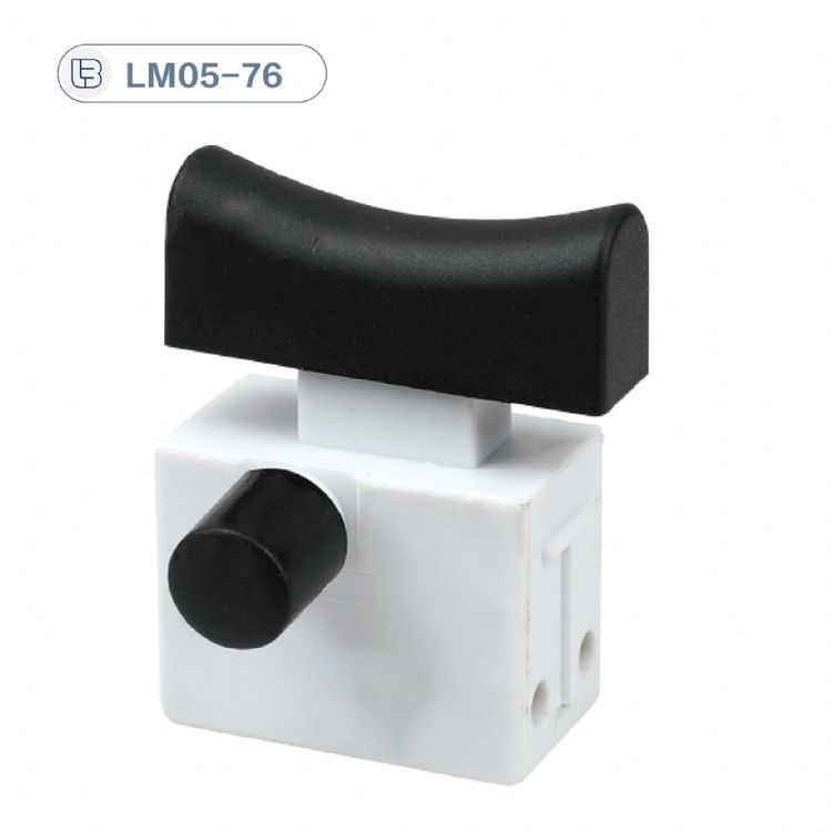 Button switch
