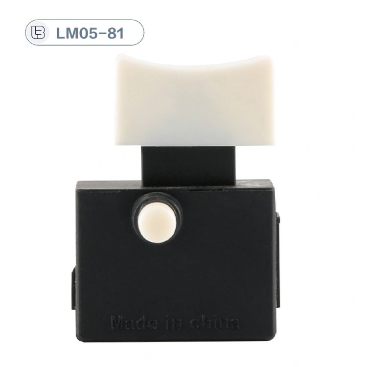 Button switch