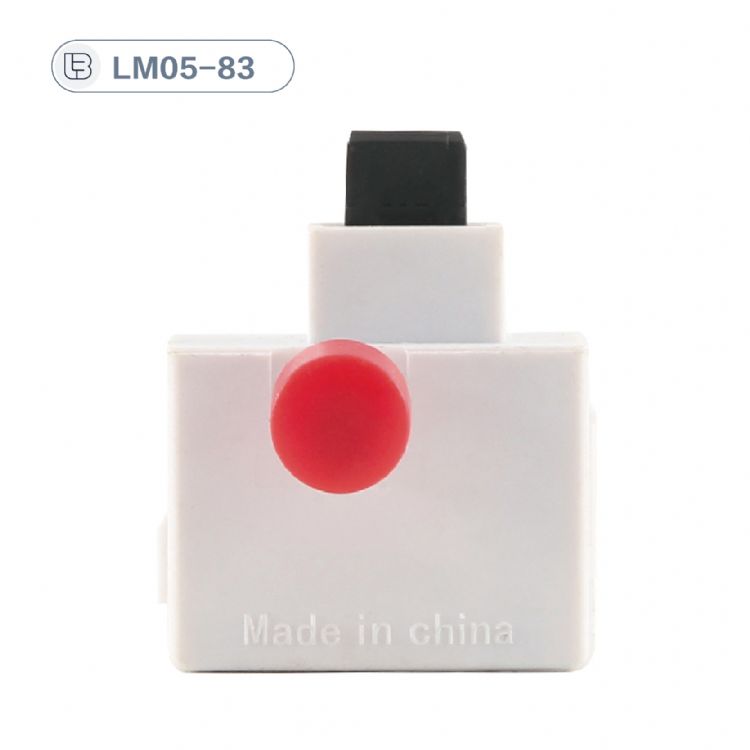 Button switch
