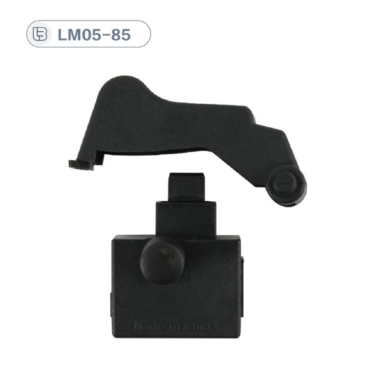 Button switch