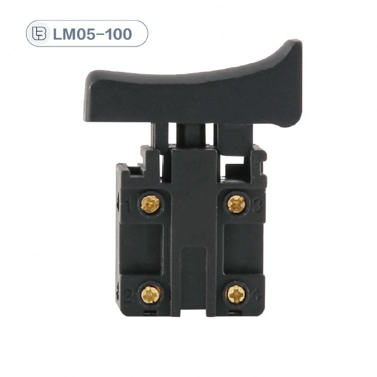 Button switch