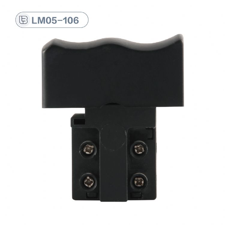 Button switch