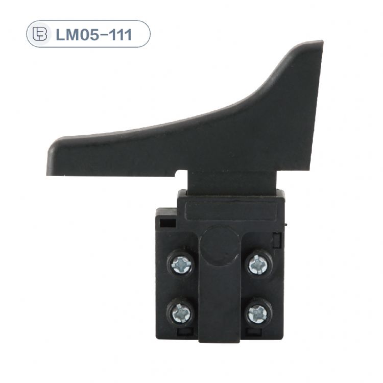 Button switch