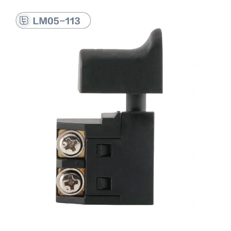 Button switch