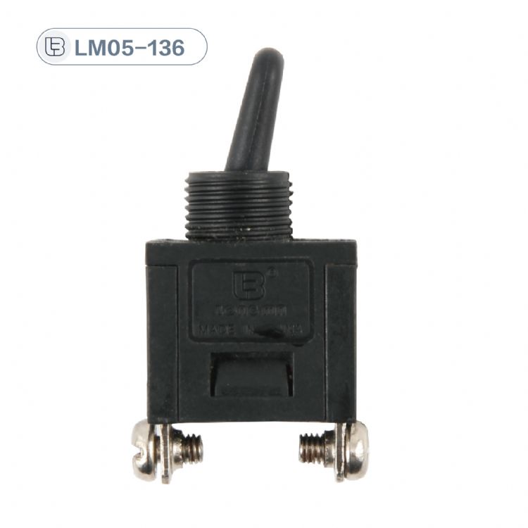 Button switch