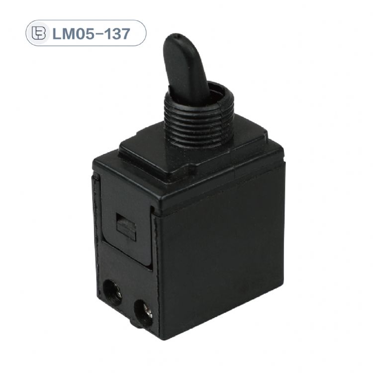Button switch