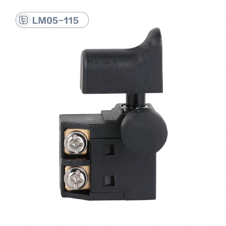 Button switch