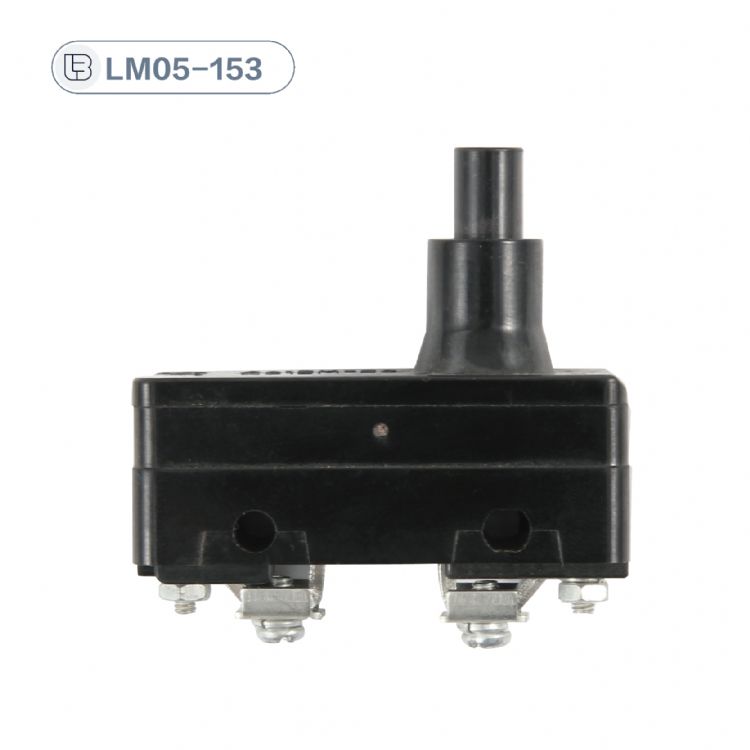 Button switch