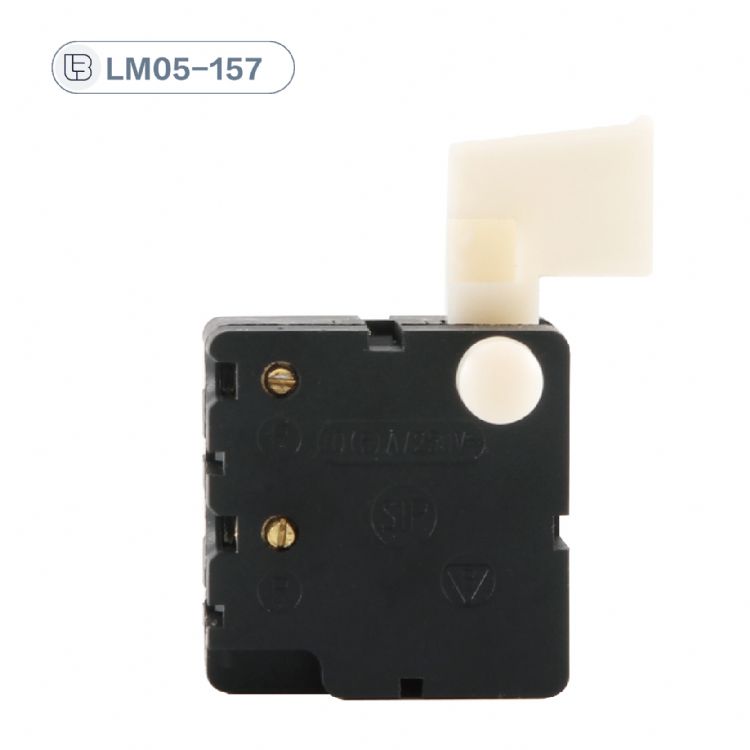 Button switch
