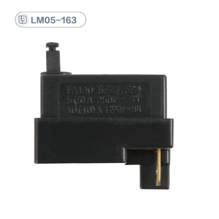 Button switch