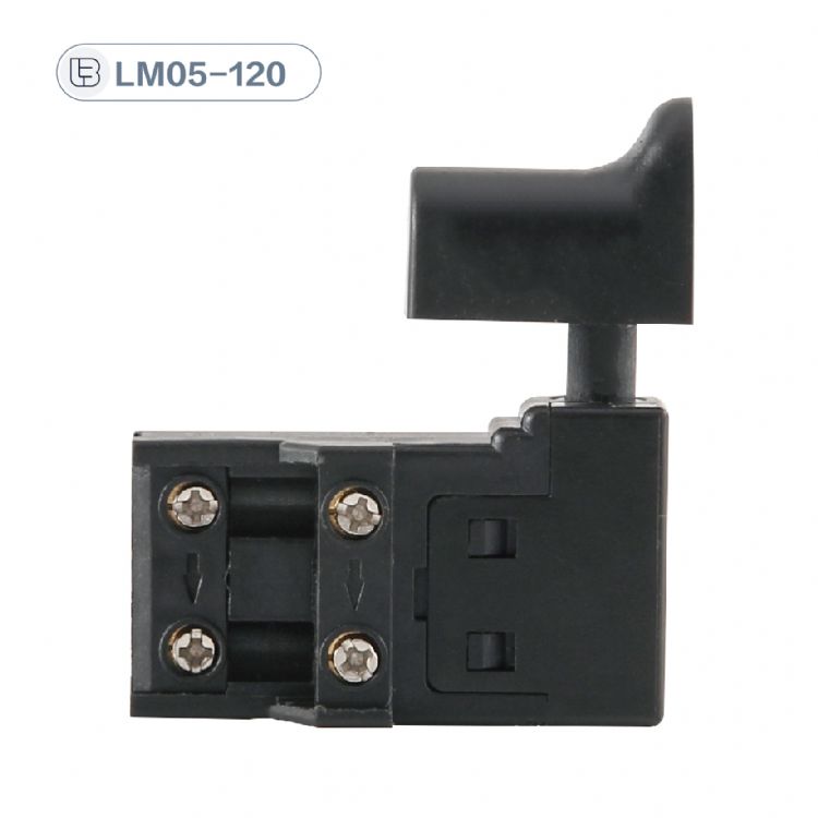 Button switch