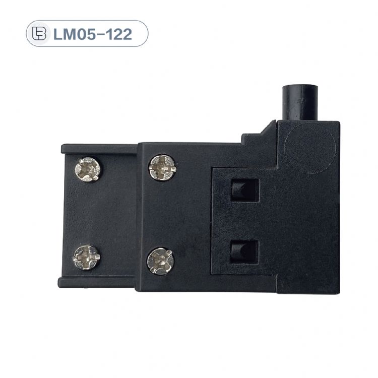Button switch