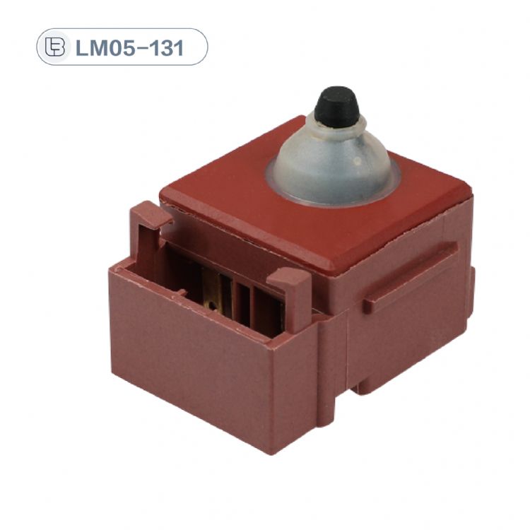 Button switch