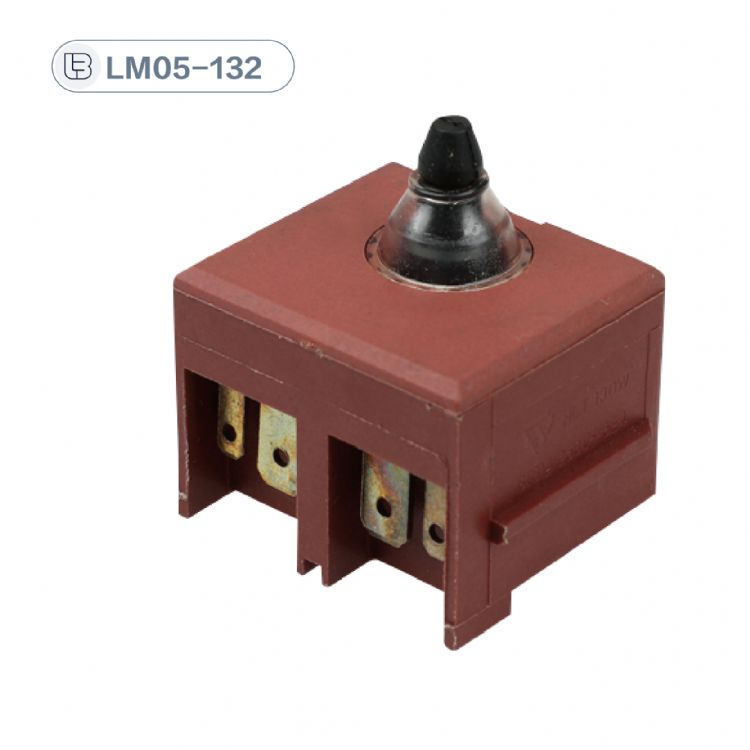 Button switch