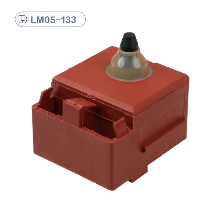 Button switch